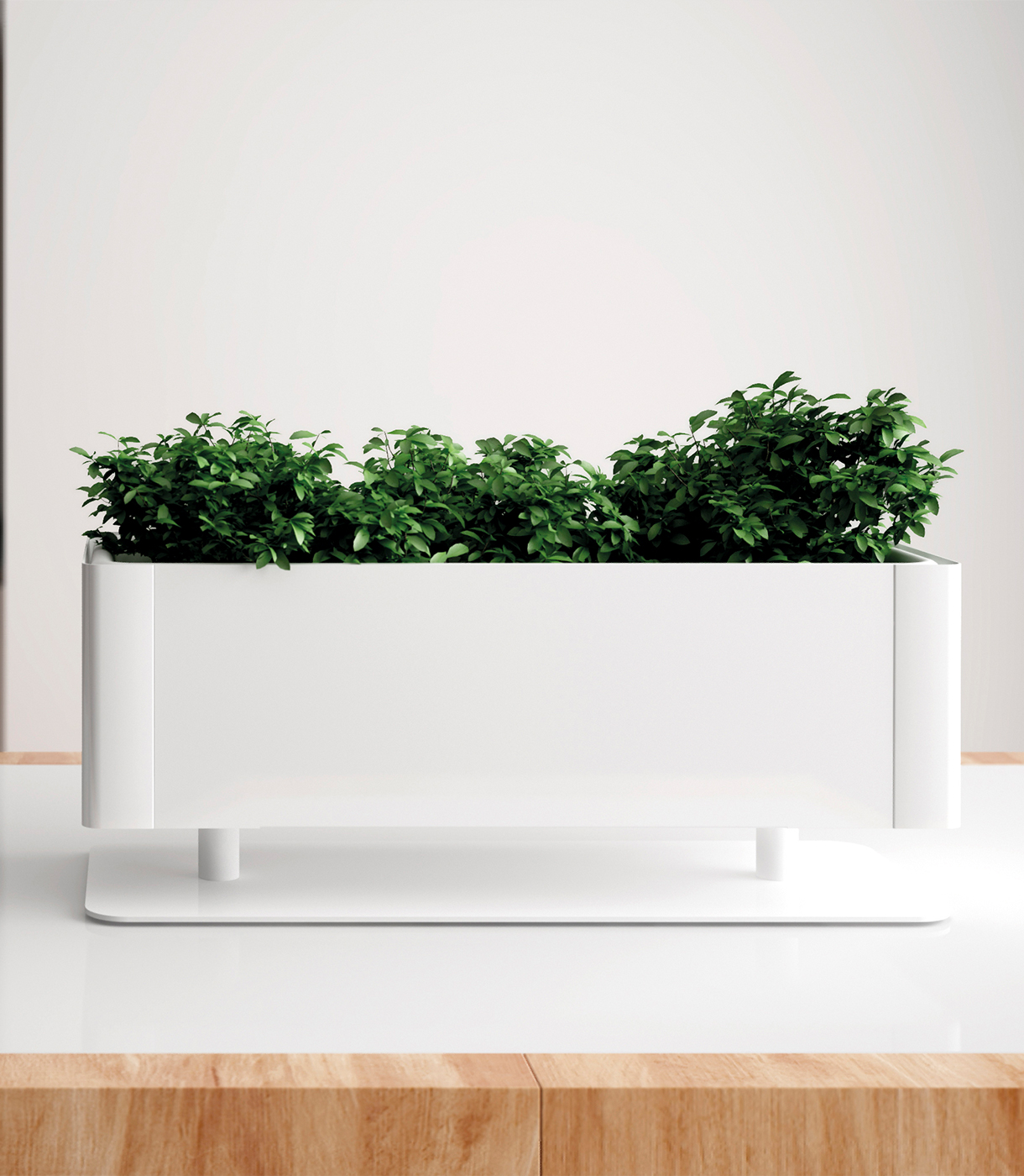 Jardineres i torretes. Green Light. Systemtronic